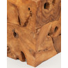 Roots - Rectangular coffee table