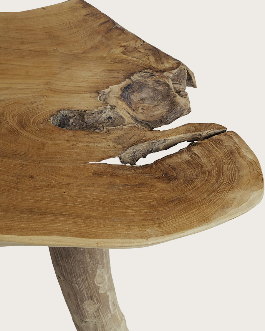 Risa - Solid teak coffee table