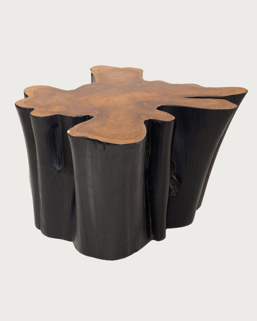 Timberly - Tavolino da caffè in tronco d'albero massello