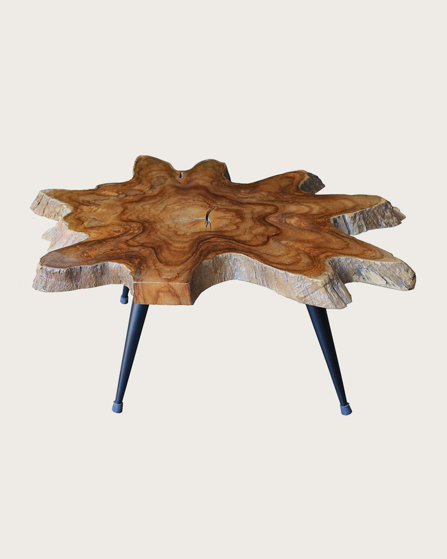 Stella - Solid teak trunk coffee table