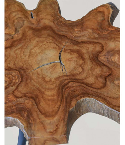 Stella - Solid teak trunk coffee table
