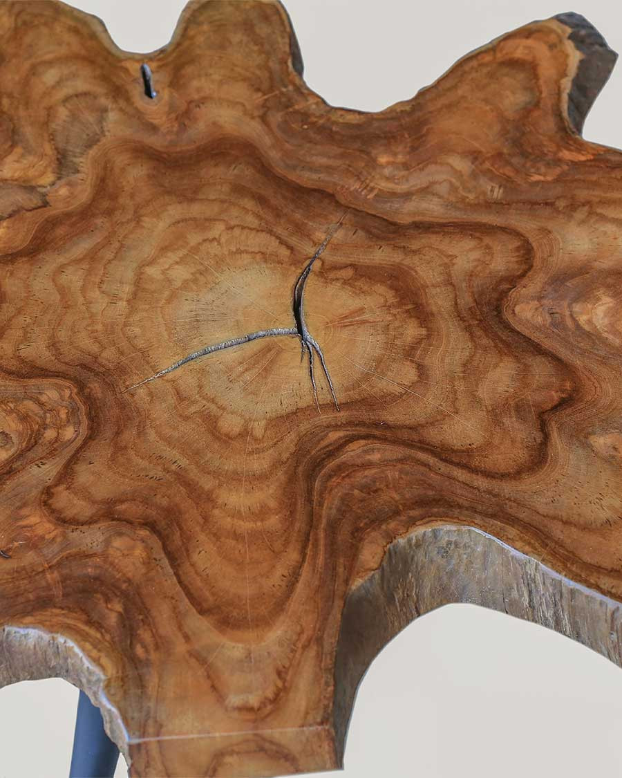 Stella - Solid teak trunk coffee table