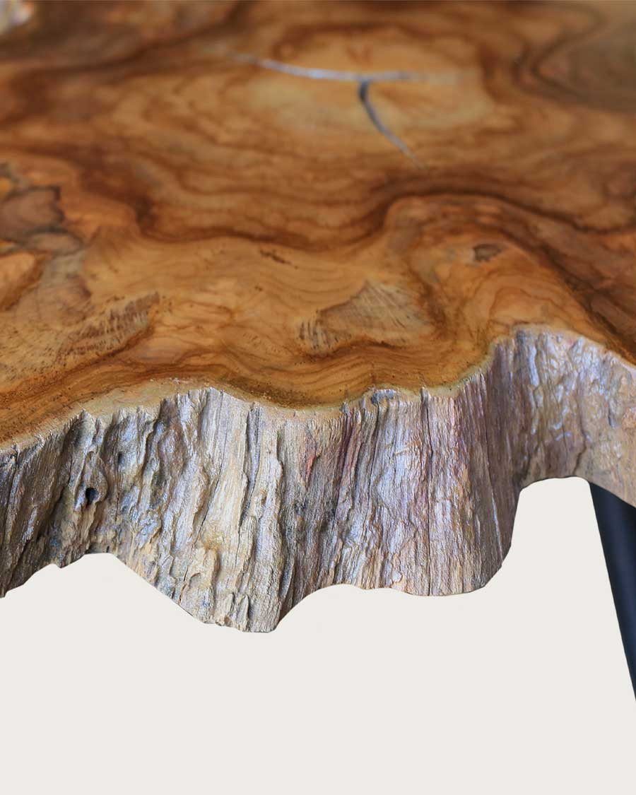 Stella - Solid teak trunk coffee table