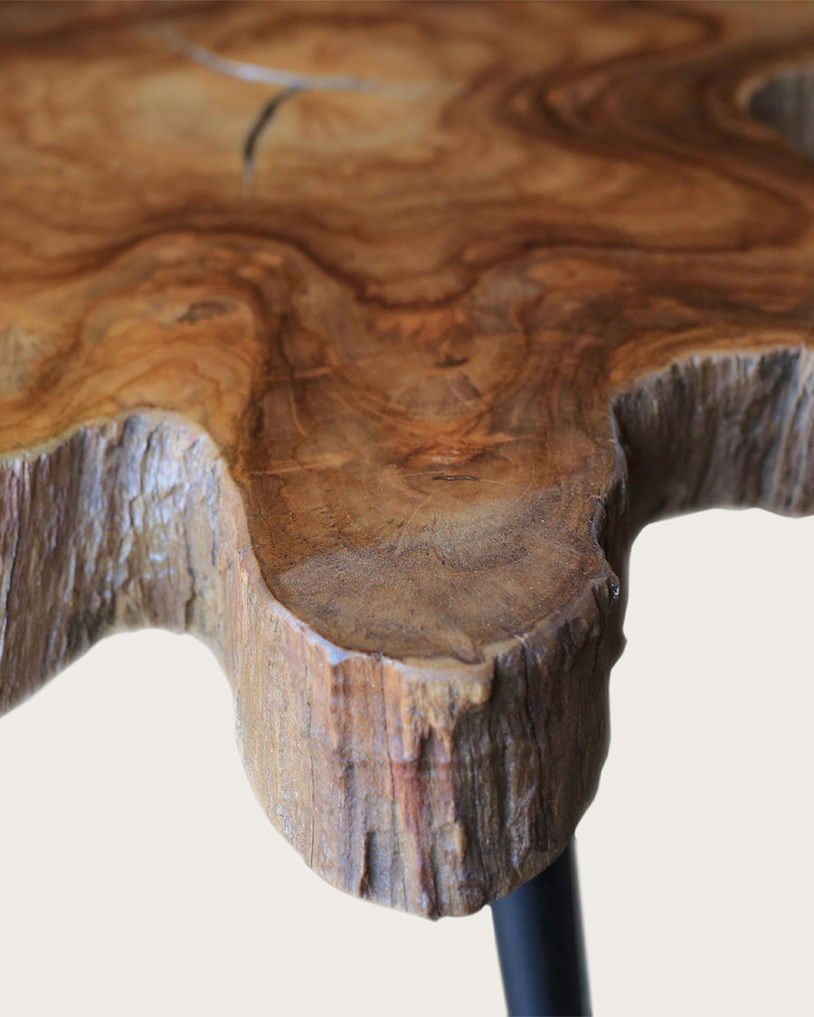 Stella - Solid teak trunk coffee table