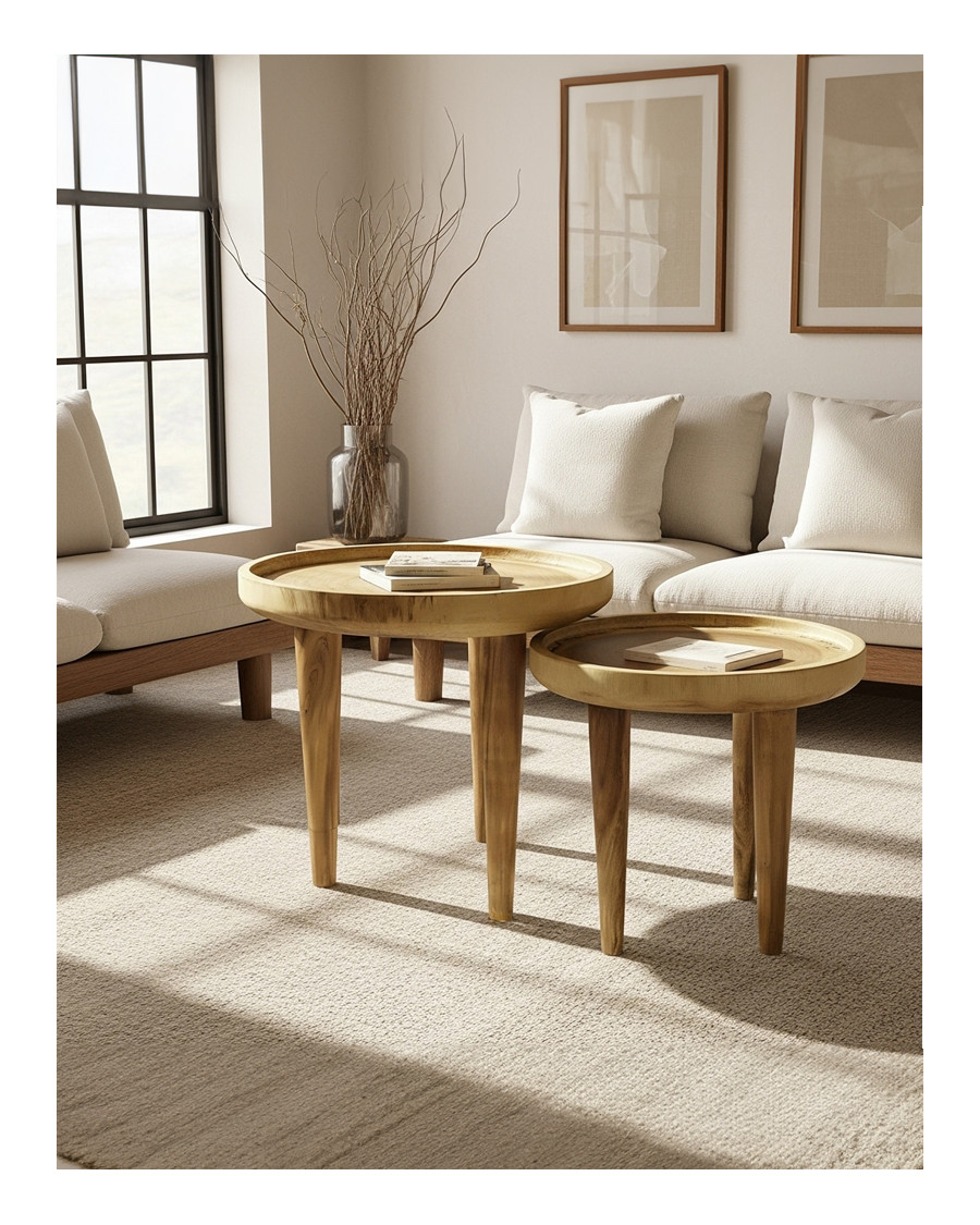 Léothéo - Lot de 2 tables...