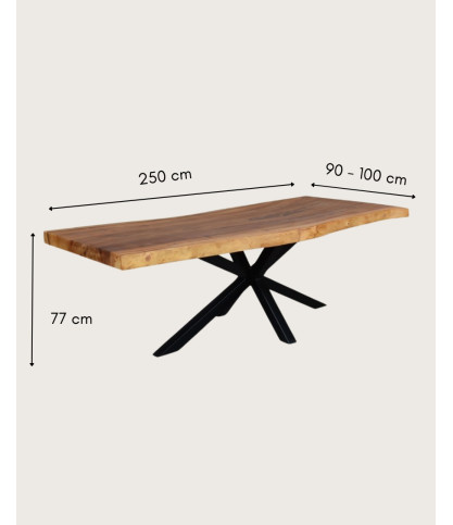 Dempo - Tavolo da pranzo in legno massello L250 cm 12-14 persone.