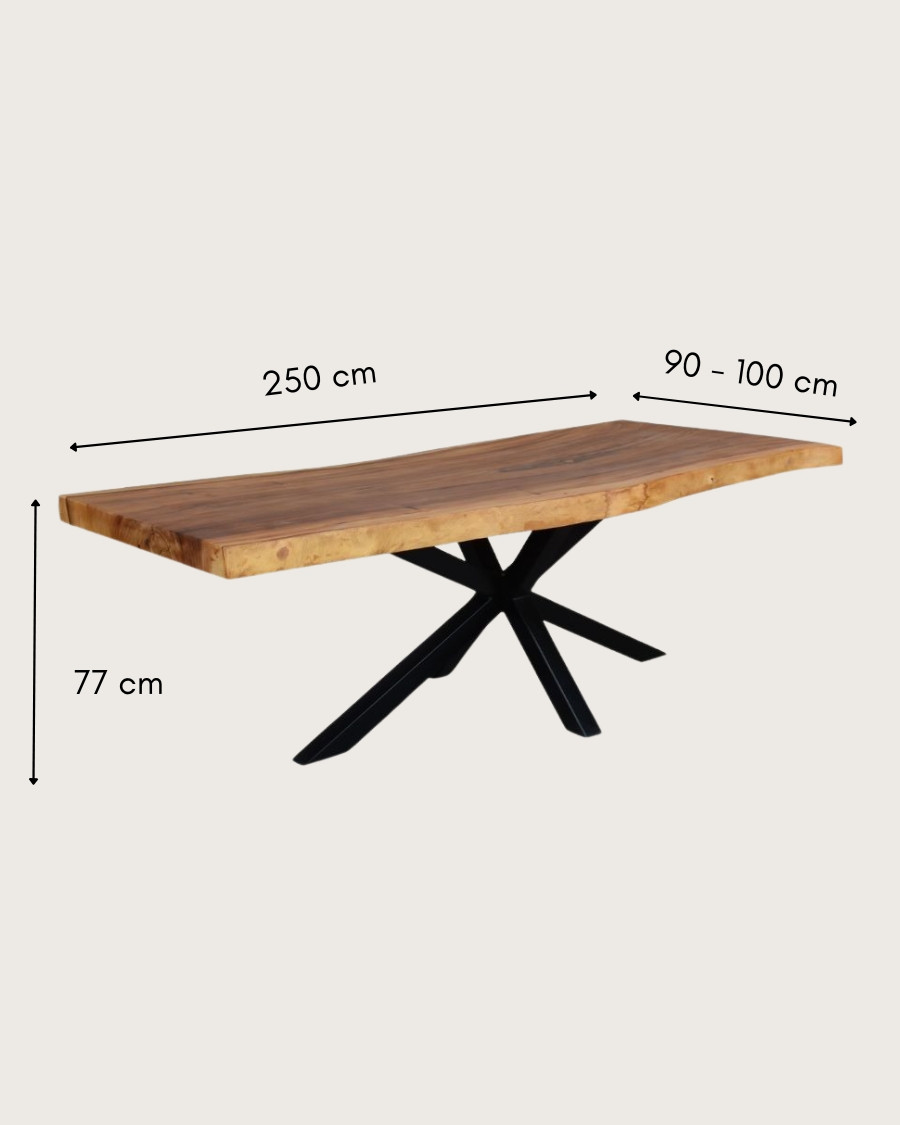 Dempo - Table repas en suar massif L250 cm 12-14 pers.