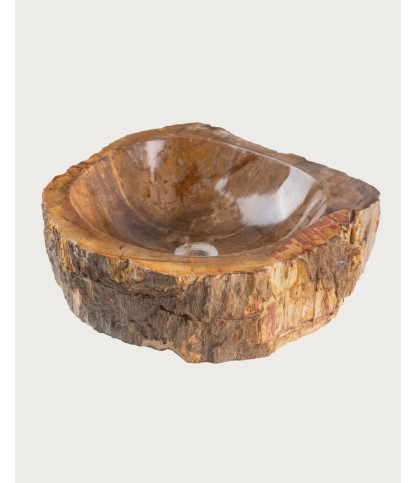 Fossi – Aufsatzwaschbecken aus fossilisiertem Holz und Naturstein