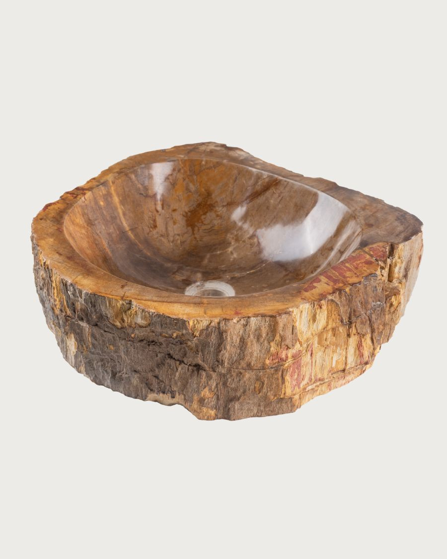 Fossi - Countertop washbasin in fossilized wood and natural stone