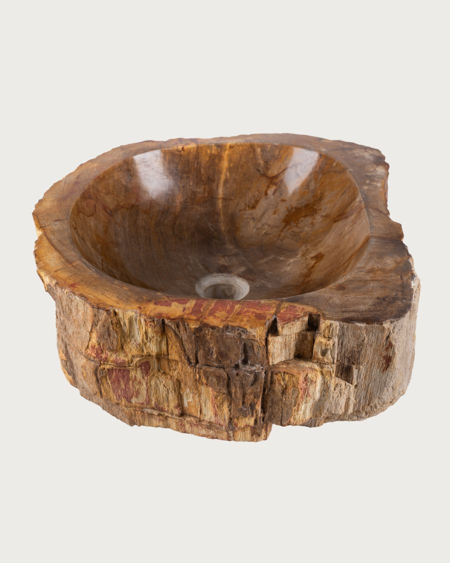 Fossi - Lavabo da appoggio in legno fossilizzato e pietra naturale