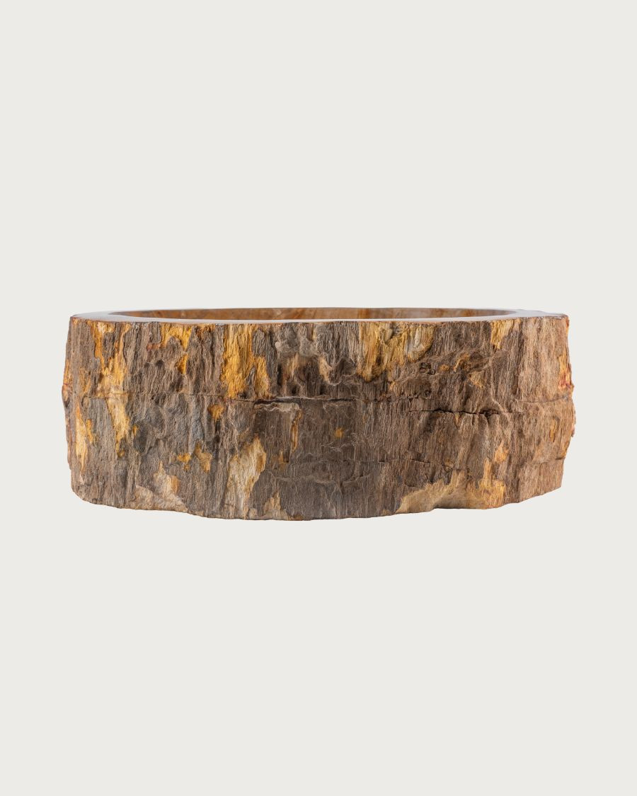 Fossi - Lavabo de encimera en madera fosilizada y piedra natural