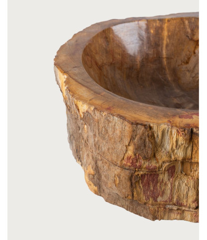 Fossi – Aufsatzwaschbecken aus fossilisiertem Holz und Naturstein