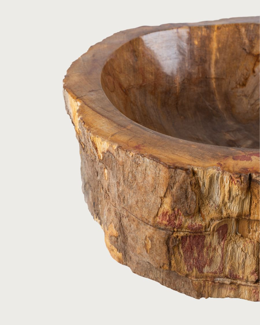 Fossi - Vasque à poser en bois fossilisé et pierre naturelle