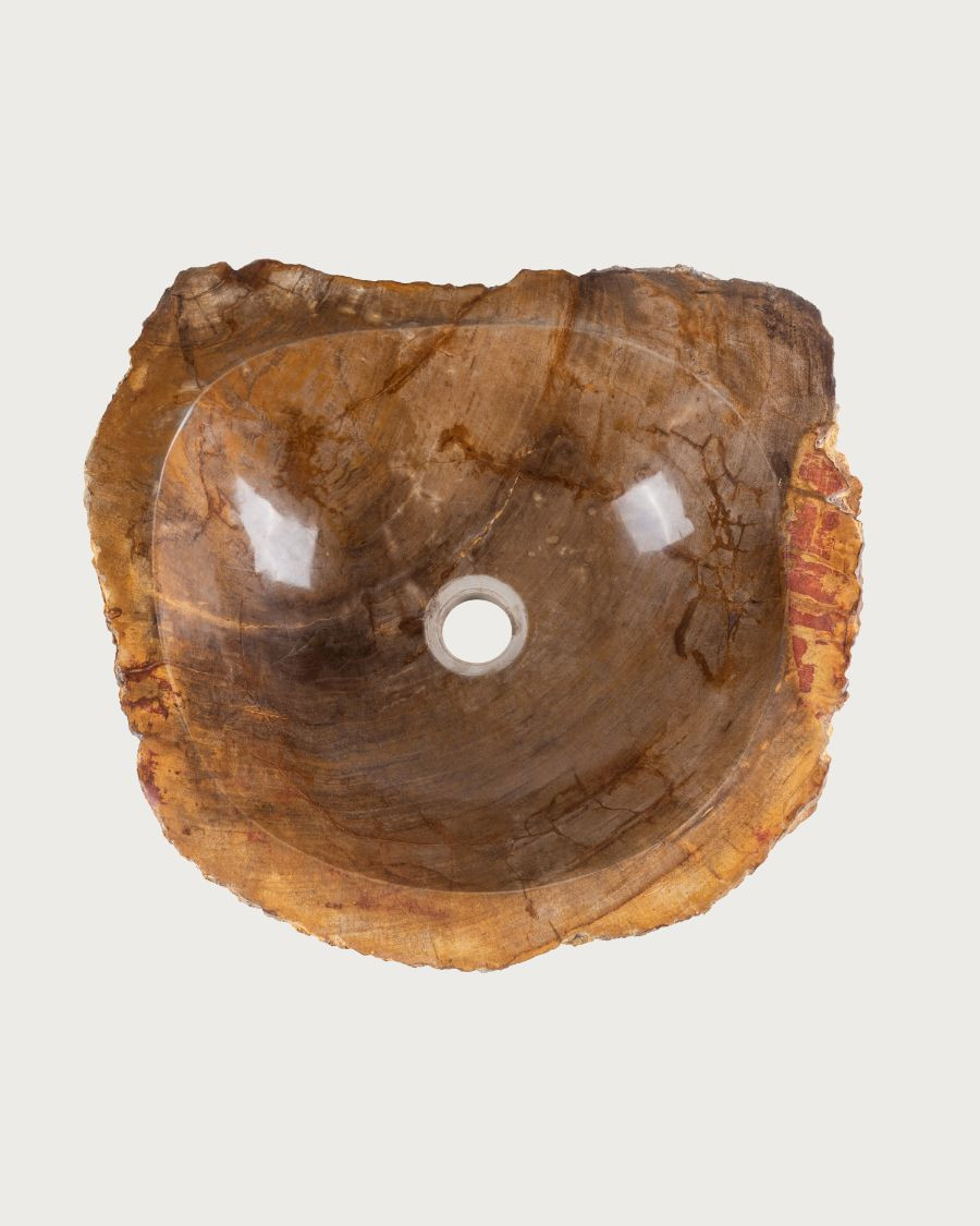 Fossi - Vasque à poser en bois fossilisé et pierre naturelle