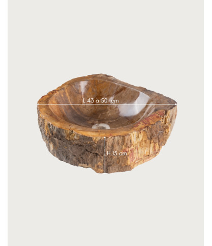 Fossi - Countertop washbasin in fossilized wood and natural stone