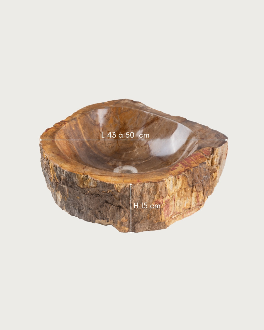 Fossi - Countertop washbasin in fossilized wood and natural stone