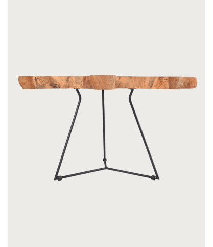Stella - Solid teak trunk coffee table