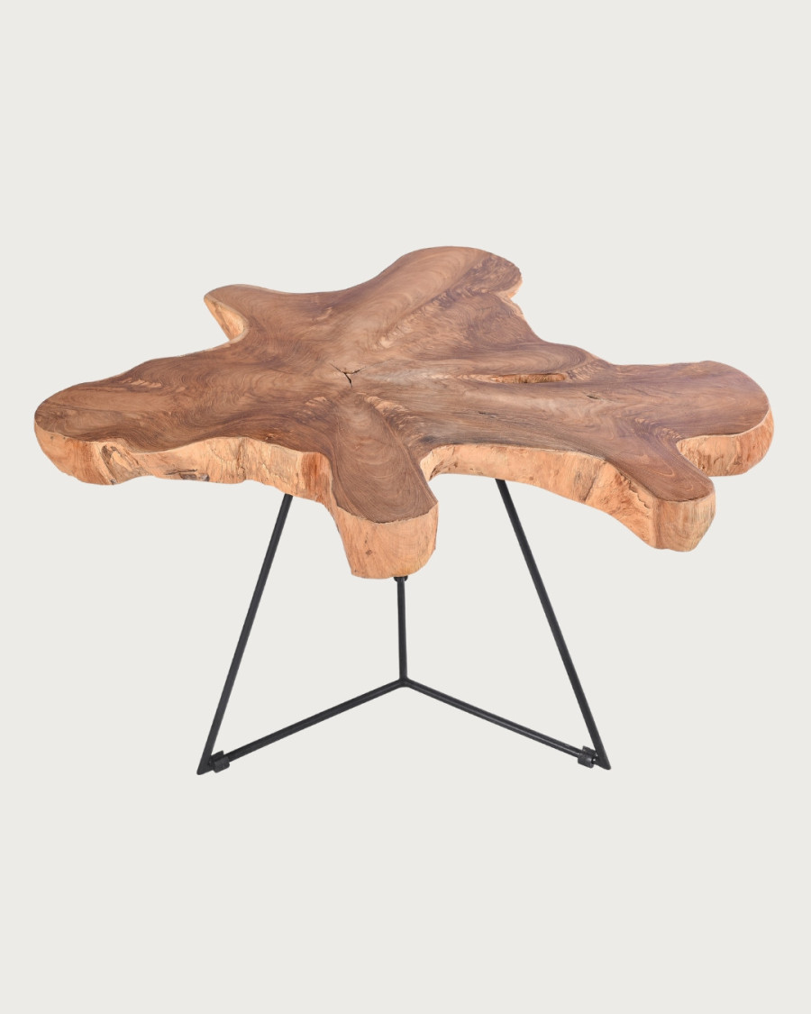 Stella - Table basse tronc...