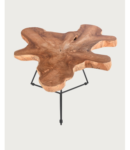 Stella - Solid teak trunk coffee table
