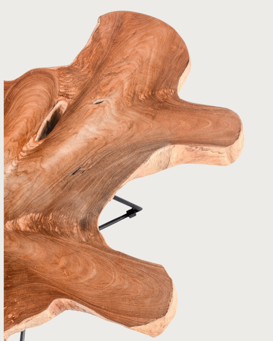 Stella - Solid teak trunk coffee table