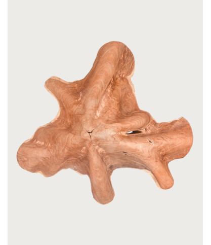 Stella - Solid teak trunk coffee table