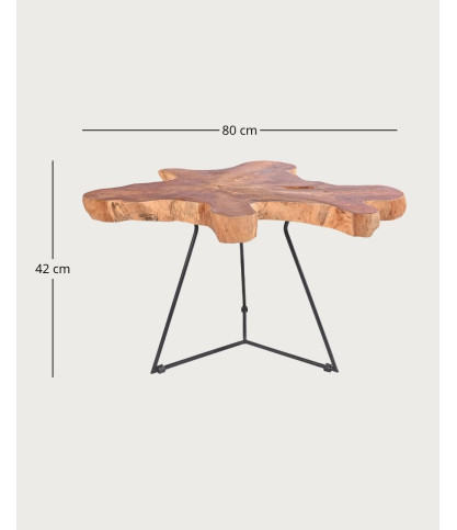 Stella - Solid teak trunk coffee table