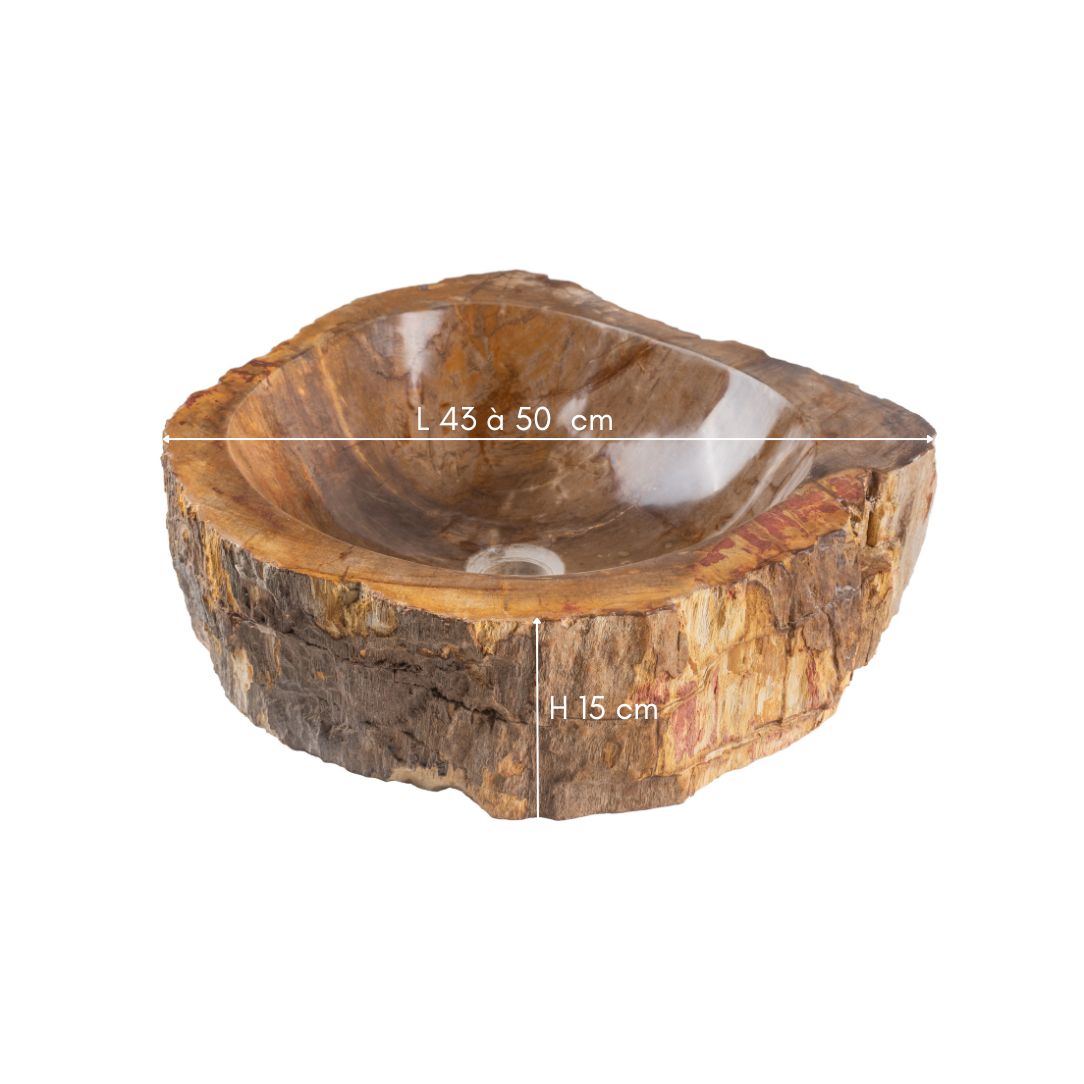 Vasque à poser en bois fossilisé