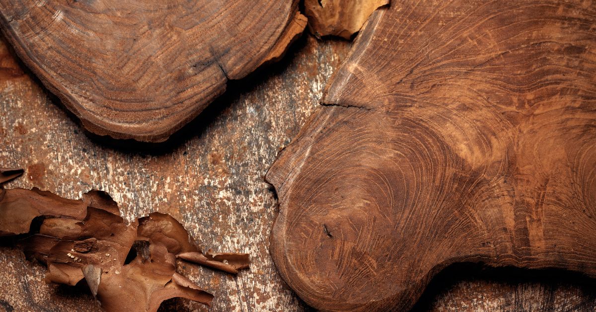 Essence de bois massif