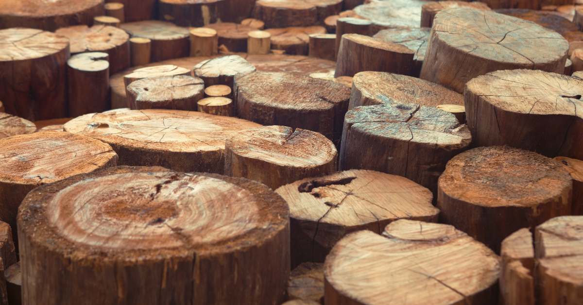 les atouts du teck massif